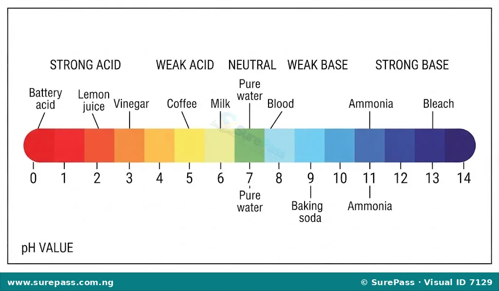 pH scale showing values from 0 to 14, indicating strong acid, weak acid, neutral, weak base, and strong base, with examples.
