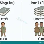 Ma’anar Adadi, Tilo da Jam’i for JSS 1