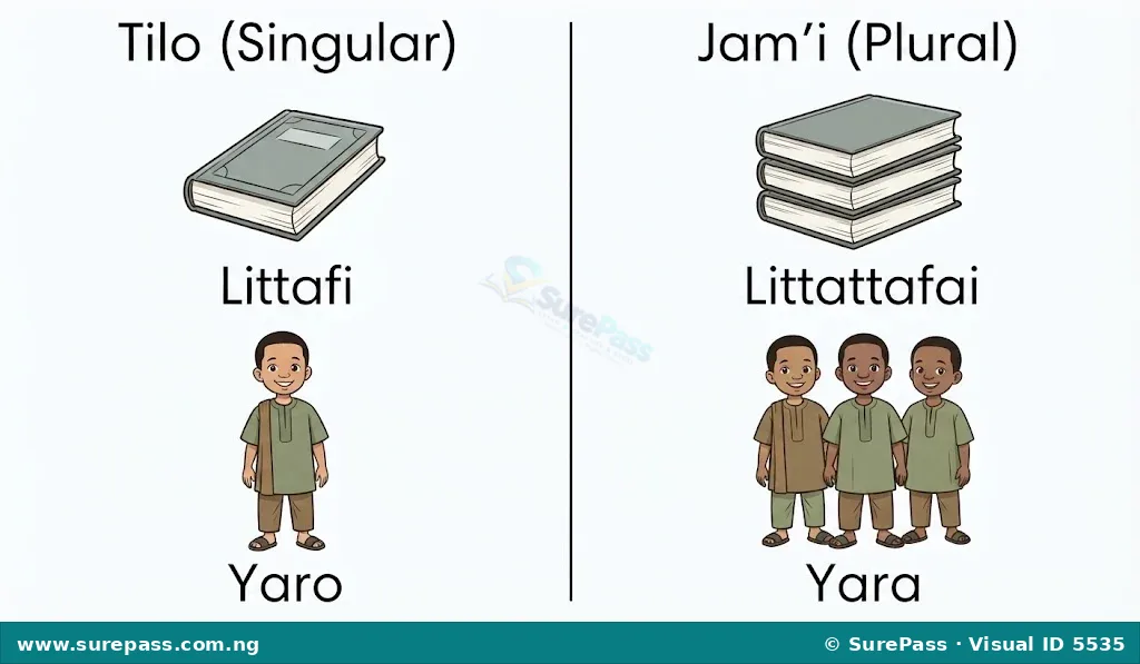 A visual comparison showing the singular and plural forms of books and boys in Hausa.