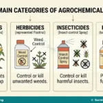 Agrochemicals, Uses, Handling and Farm Safety for SS 1