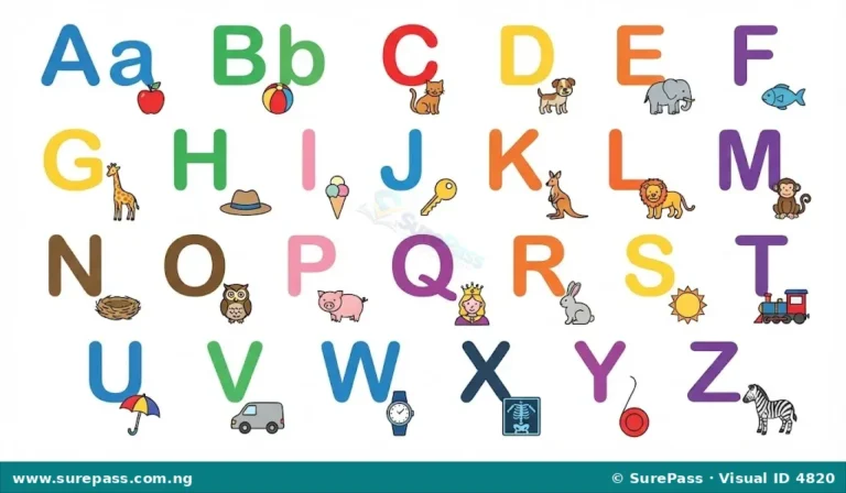 L’alphabet français et sa prononciation for Primary 4