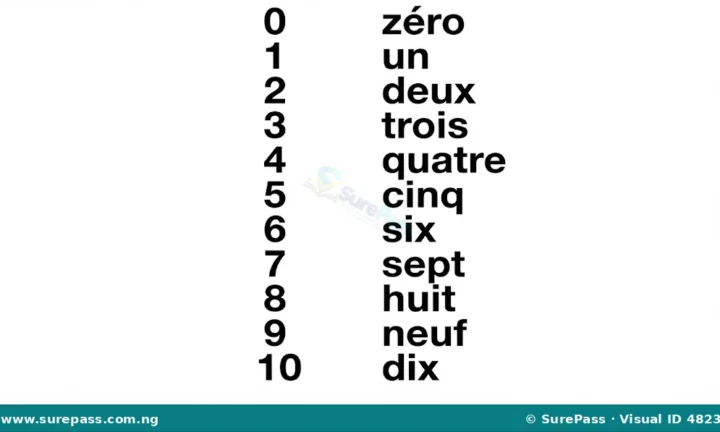 Les nombres de 0 à 20 en français for Primary 4
