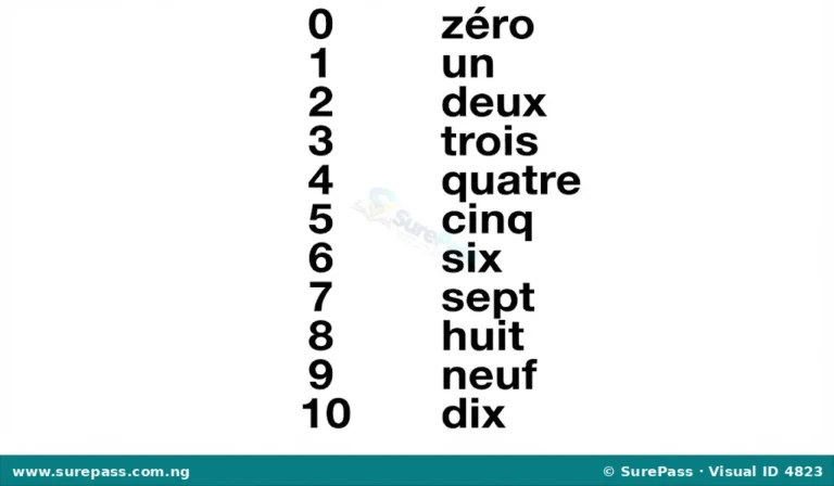 Les nombres de 0 à 20 en français for Primary 4