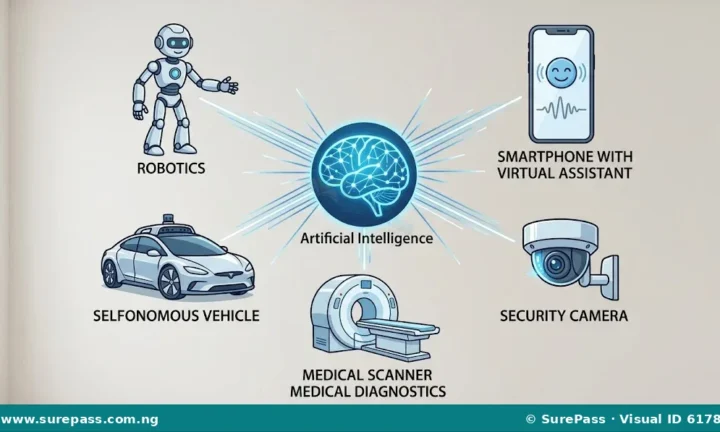 Artificial Intelligence and Image Recognition for SS 1