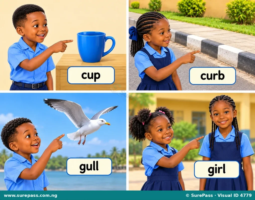 Illustration showing a cup, a curb, a gull, and a girl, with labels.