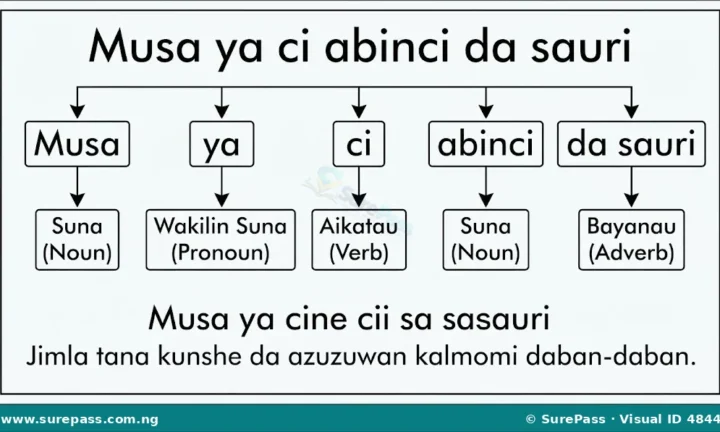 Azuzuwan Kalmomin Hausa da Misalansu for Primary 4