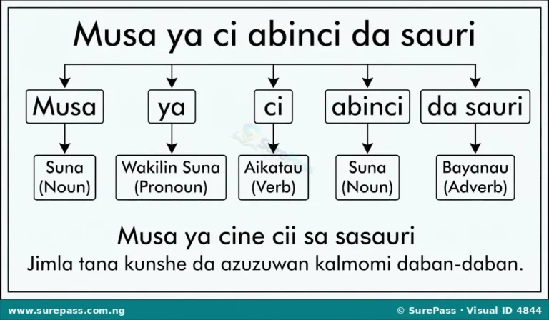 Azuzuwan Kalmomin Hausa da Misalansu for Primary 4