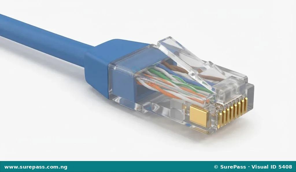 A clear plastic RJ45 connector plug at the end of a network cable.