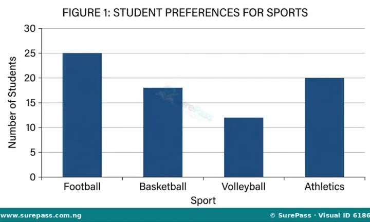 Statistical Measures and Graphical Representation of Data for SS 1
