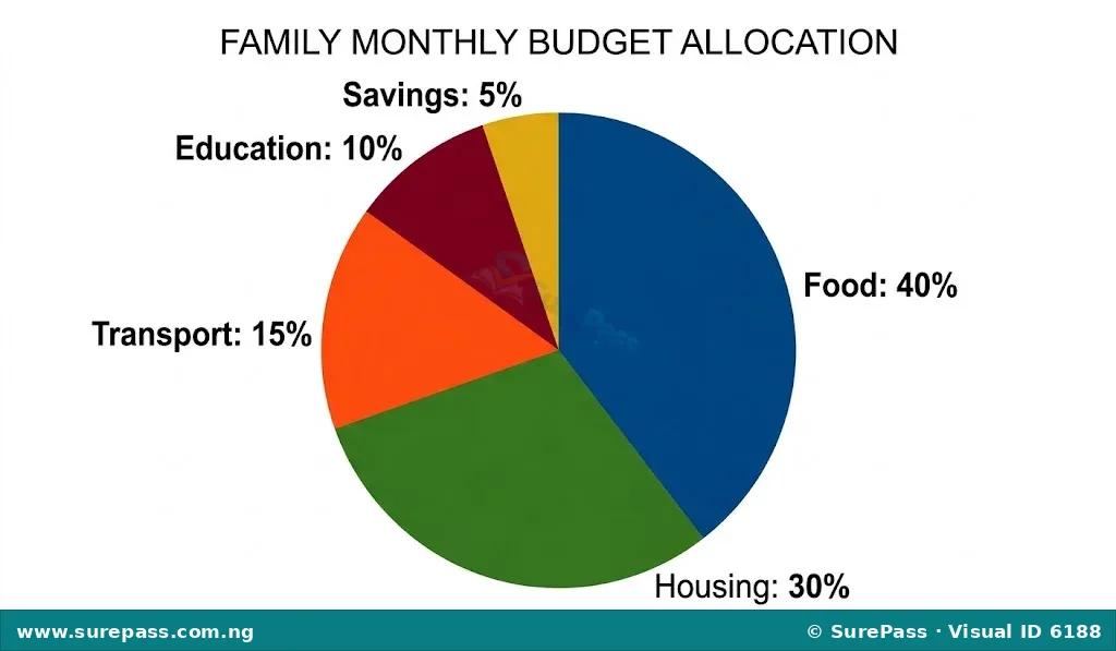 Pie chart illustrating a family's budget distribution.