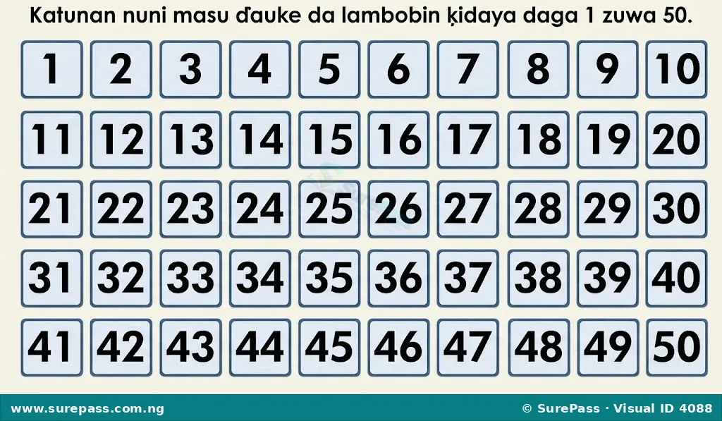 Display cards showing numbers from 1 to 50.