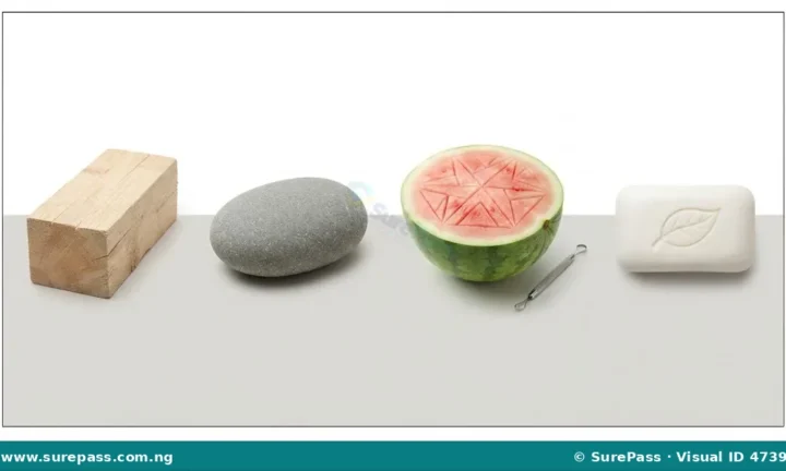 Meaning, Materials and Techniques of Carving for Primary 4