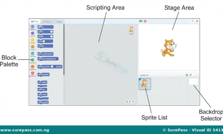 Programming Languages, Scratch Interface and Coding Blocks for JSS 1