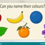 Primary Colours and Simple Colouring for Primary 1