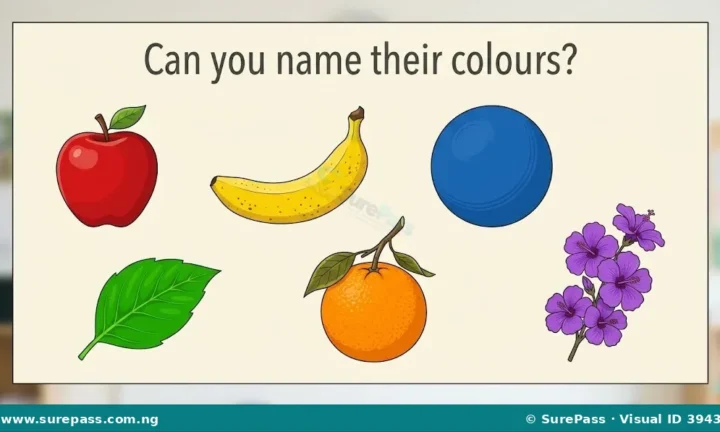 Primary Colours and Simple Colouring for Primary 1