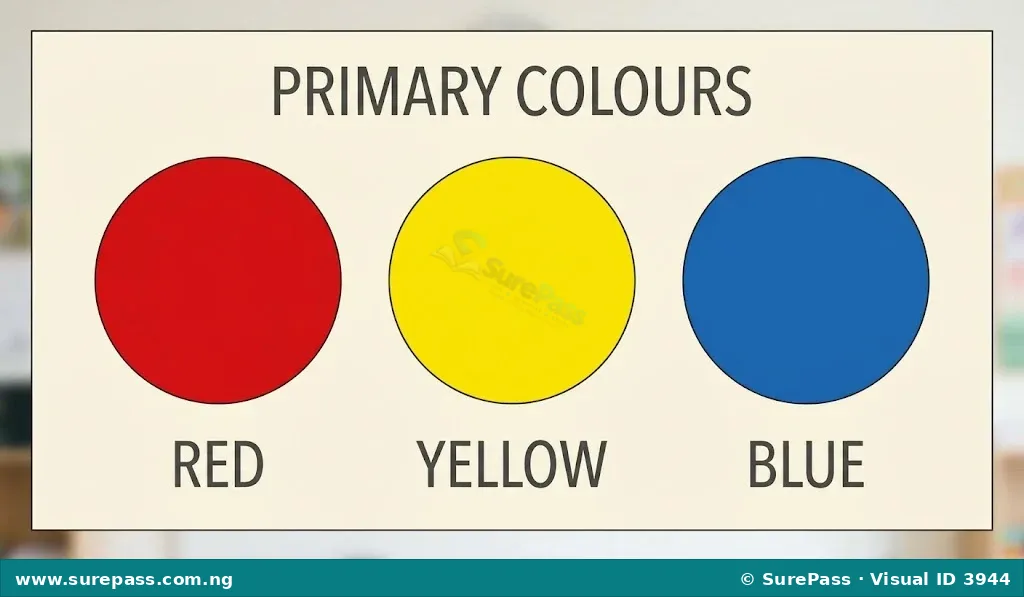 Three circles, one red, one yellow, and one blue, representing primary colours.
