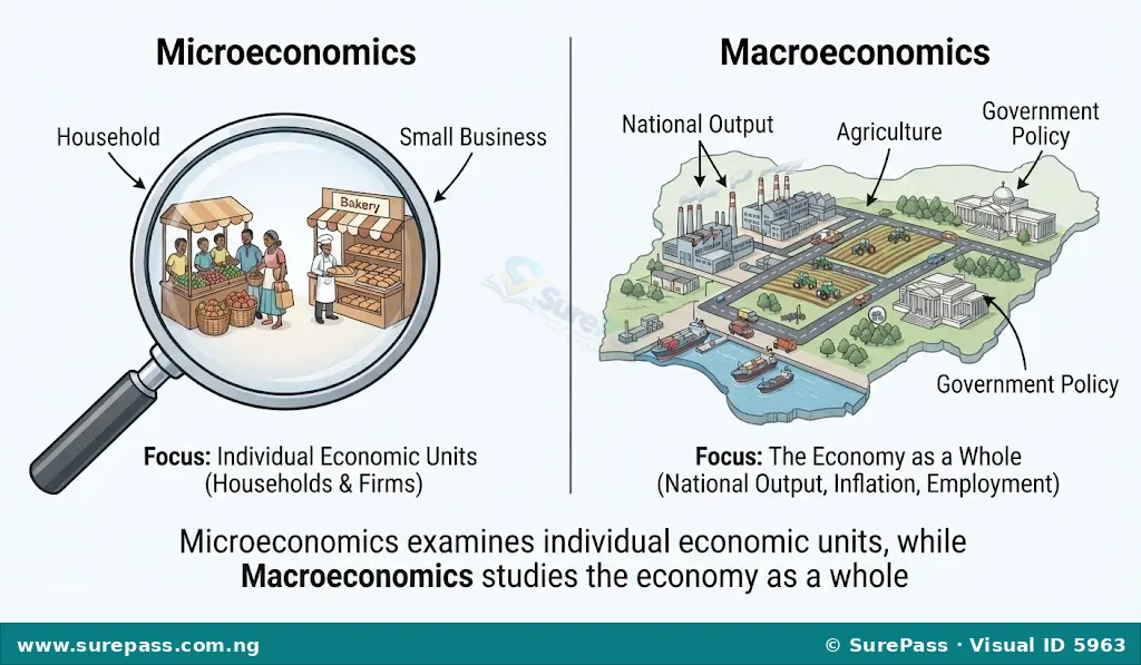Diagram showing Microeconomics focusing on individual units like households and firms, and Macroeconomics focusing on the entire economy like national output and employment.
