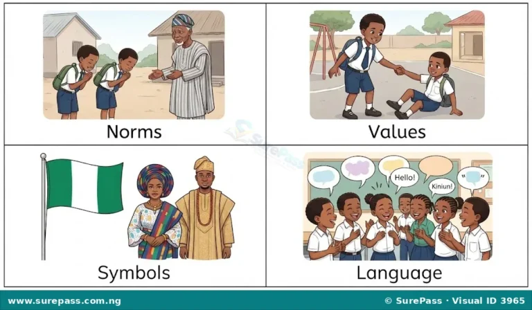 Meaning and Elements of Culture for Primary 1