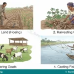 Economic Activities in the Immediate Environment for SS 1