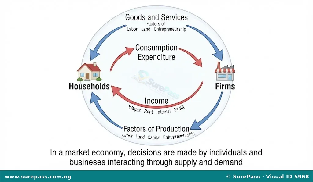 Diagram illustrating the circular flow of goods, services, and money between households and firms in a market economy, driven by supply and demand.