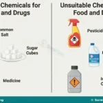 Ethical Sourcing and Safe Use of Chemicals in Business for JSS 1