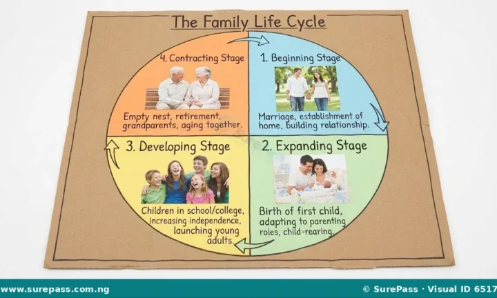 Meaning and Stages of the Family Life Cycle for SS 1