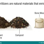 Types, Methods and Safe Application of Fertilizers for JSS 1