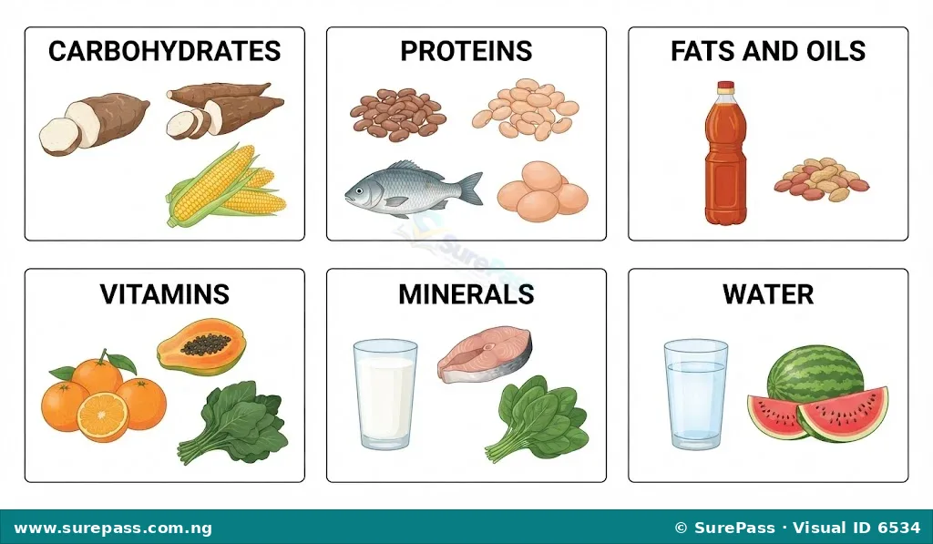 A chart categorizing common Nigerian foods into the six main classes of nutrients.