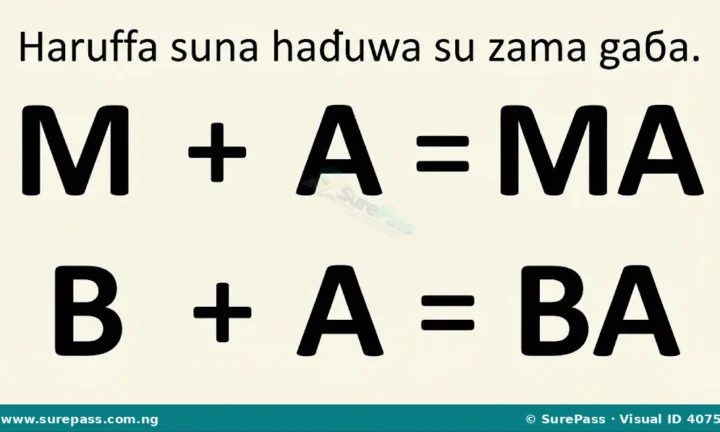 Ginin Kalmomi Masu Gaɓoɓi Biyu Zuwa Huɗu for Primary 1