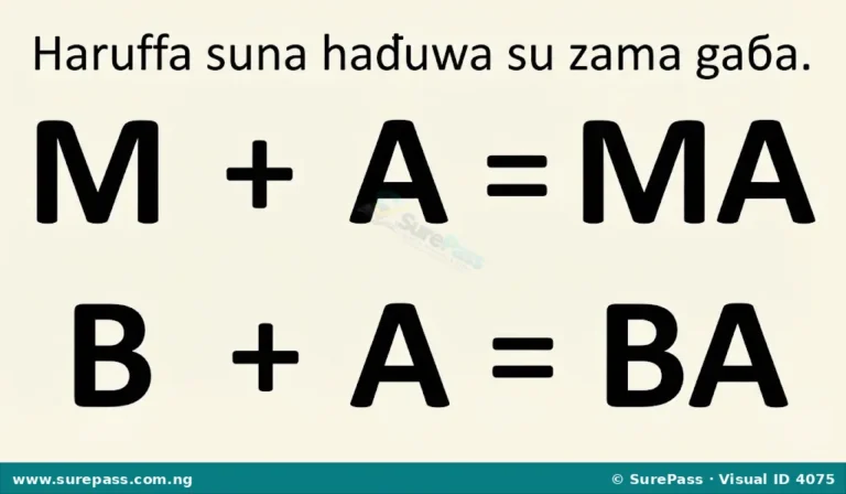 Ginin Kalmomi Masu Gaɓoɓi Biyu Zuwa Huɗu for Primary 1