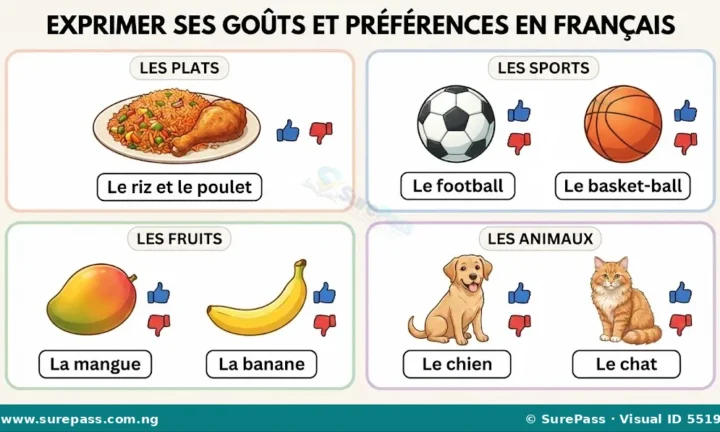 Exprimer ses goûts et ses préférences en français for JSS 1