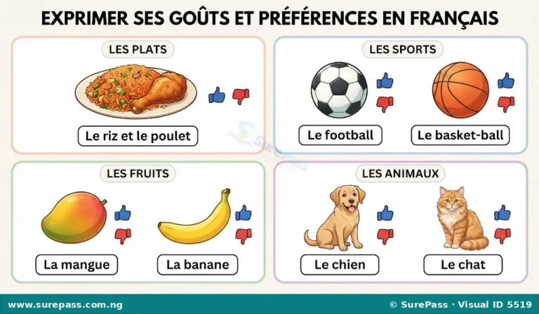 Exprimer ses goûts et ses préférences en français for JSS 1