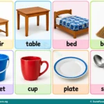 Reading: Identifying and Describing Common Objects for Primary 1