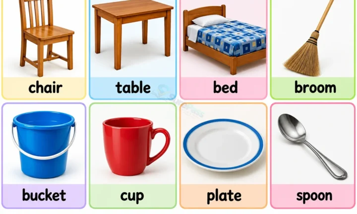 Reading: Identifying and Describing Common Objects for Primary 1