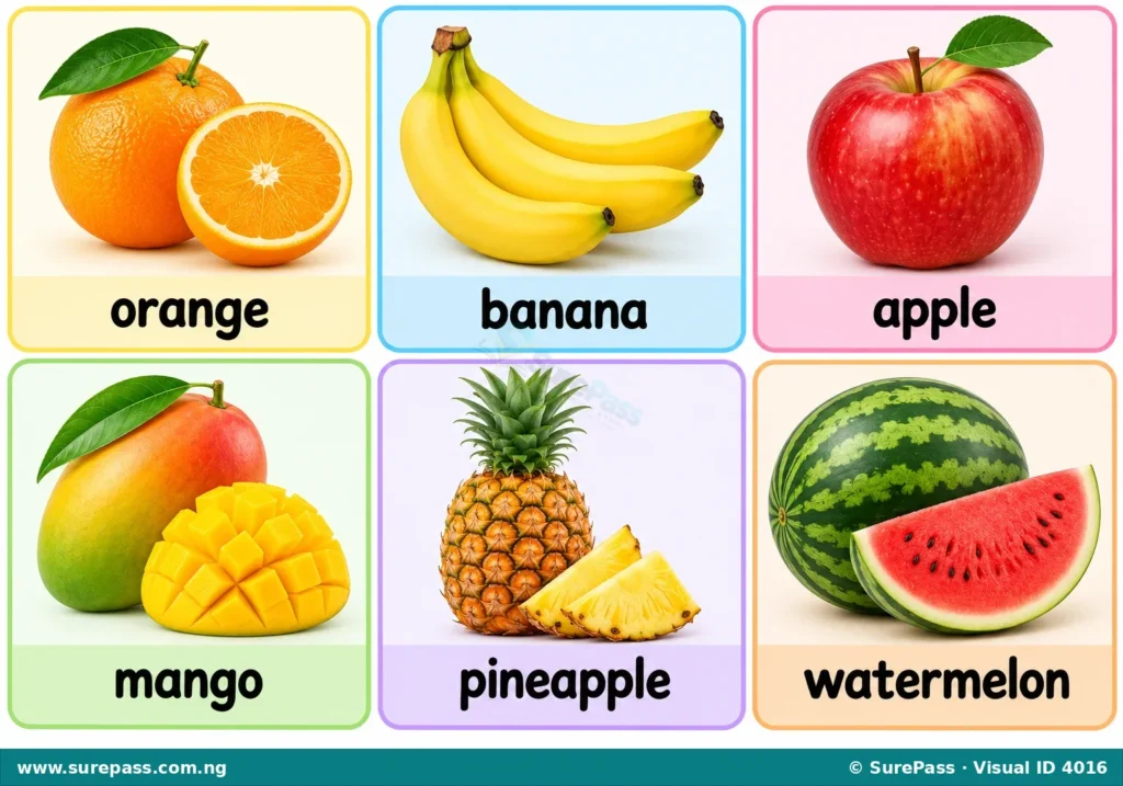 An illustration of common fruits including an orange, banana, apple, mango, pineapple, and watermelon.