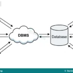 Meaning, Components and Uses of Database Management Systems for SS 1