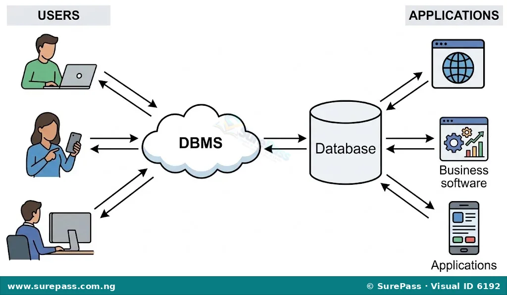 Diagram showing how a DBMS acts as a central hub connecting multiple users and applications to a database, facilitating data access and management.