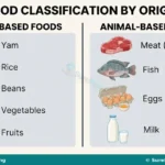 Meaning, Classification, Functions and Importance of Food for SS 1