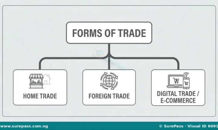 Meaning, Importance and Types of Trade for SS 1