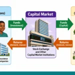 Capital Market Investments, Securities, Risks and Returns for SS 1