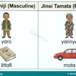 Ma’anar Jinsi, Rabe-rabe da Misalansa for JSS 1
