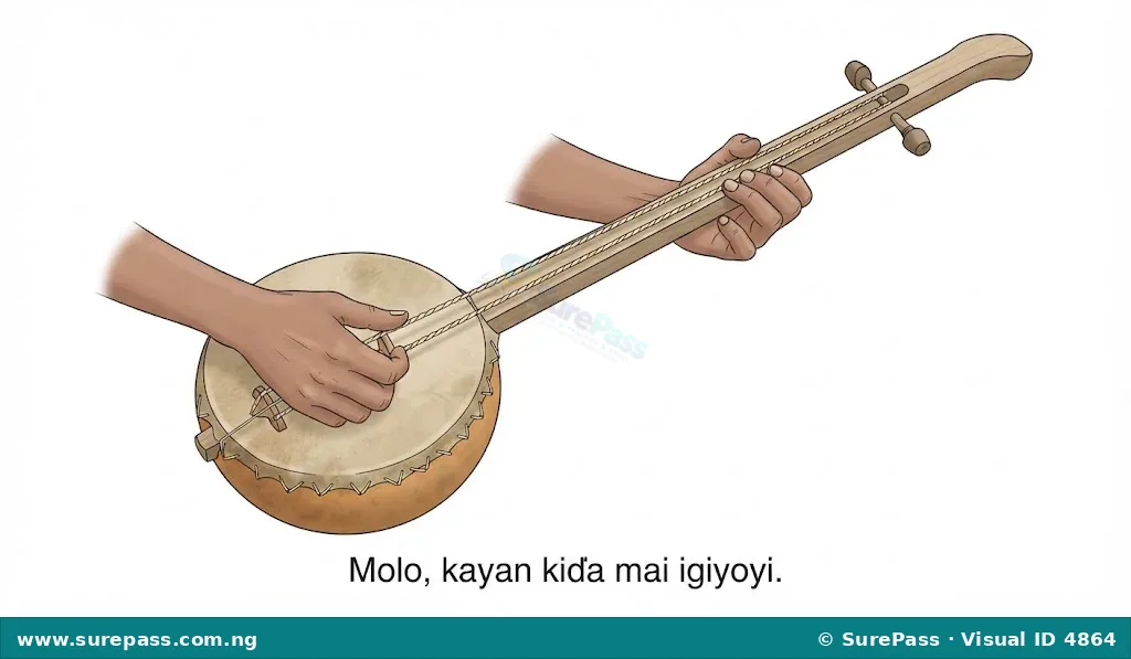 A Molo, a traditional Hausa string instrument similar to a lute.