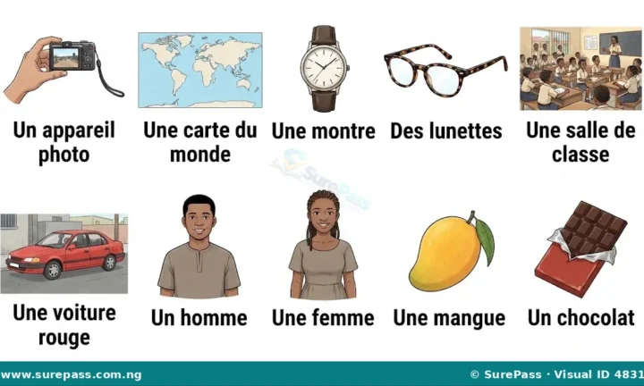 Lecture simple en français for Primary 4