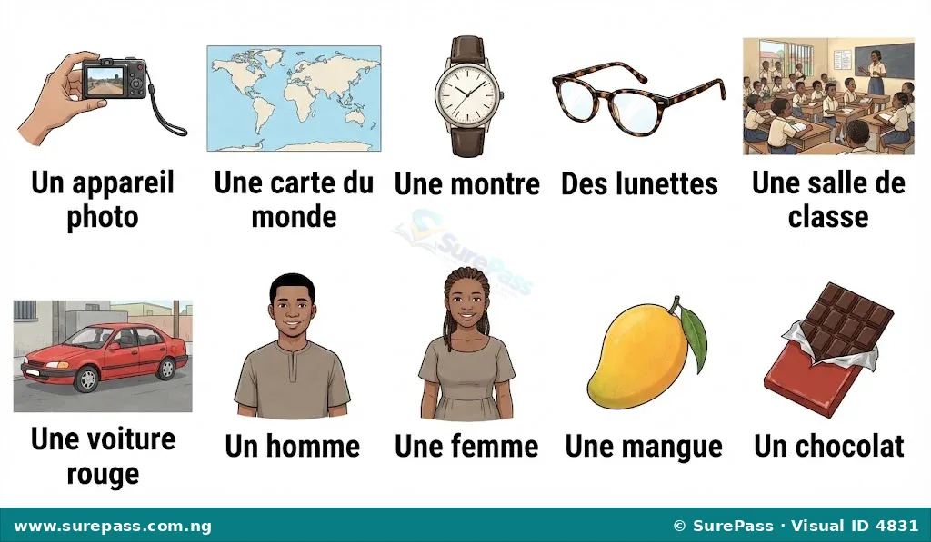 A collection of images showing a photo, map, watch, glasses, classroom, car, man, woman, mango, and chocolate, each labelled with its French name.
