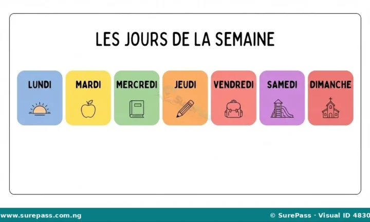 Les jours de la semaine en français for Primary 4
