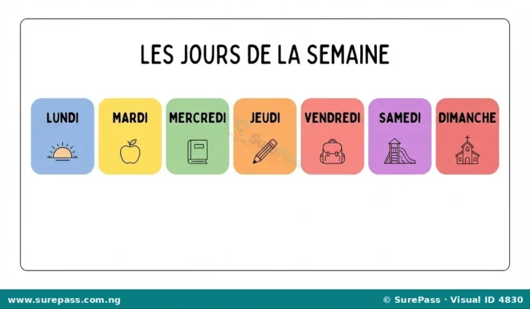 Les jours de la semaine en français for Primary 4