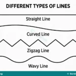 Types of Lines and Line Drawing for Primary 1