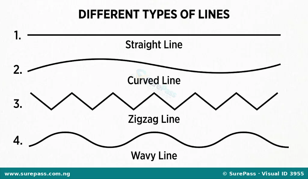 An illustration showing a straight line, a curved line, a zigzag line, and a wavy line, each clearly labelled.