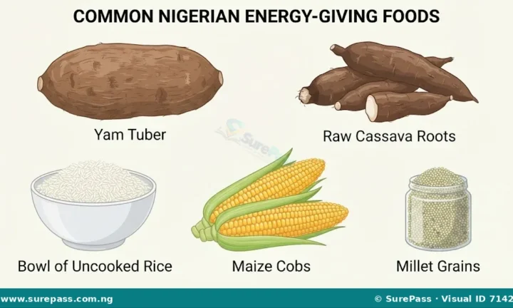 Nigerian Foods, Nutrient Groups and Nutritive Values for SS 1