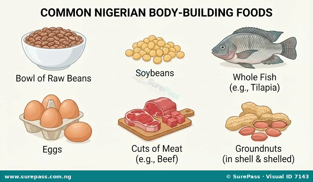 A collection of Nigerian body-building foods including beans, soybeans, fish, eggs, meat, and groundnuts.